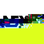 Nexo | Violon sur le sable