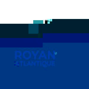 Royan Atlantique | Violon sur le sable