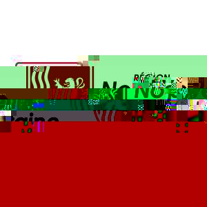 Région Nouvelle Aquitaine | Violon sur le sable