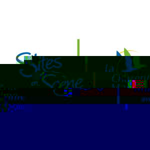 Sites en scène | Violon sur le sable