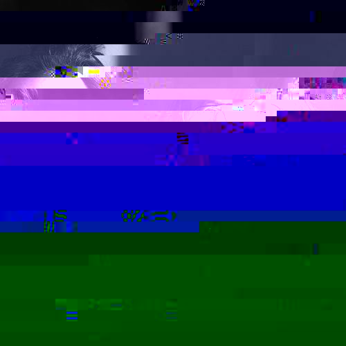 Alex Jaffray Arbitre | Un Violon sur le sable